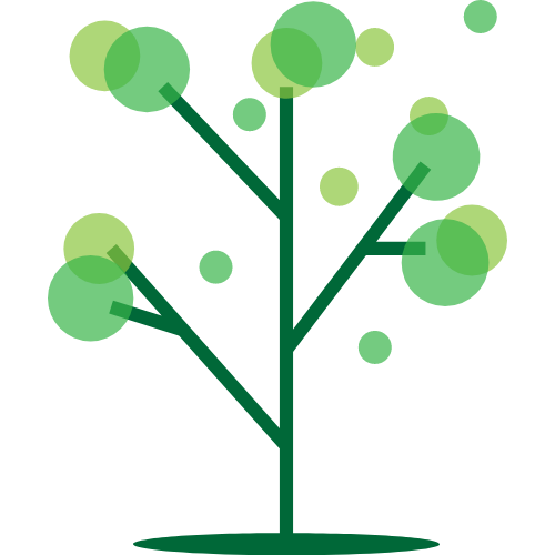 意媒：斯帕莱蒂想买中场，目标弗拉泰西、泽林斯基或法乔利（意媒：斯帕莱蒂锁定中场引援，候选包括弗拉泰西、泽林斯基与法乔利）